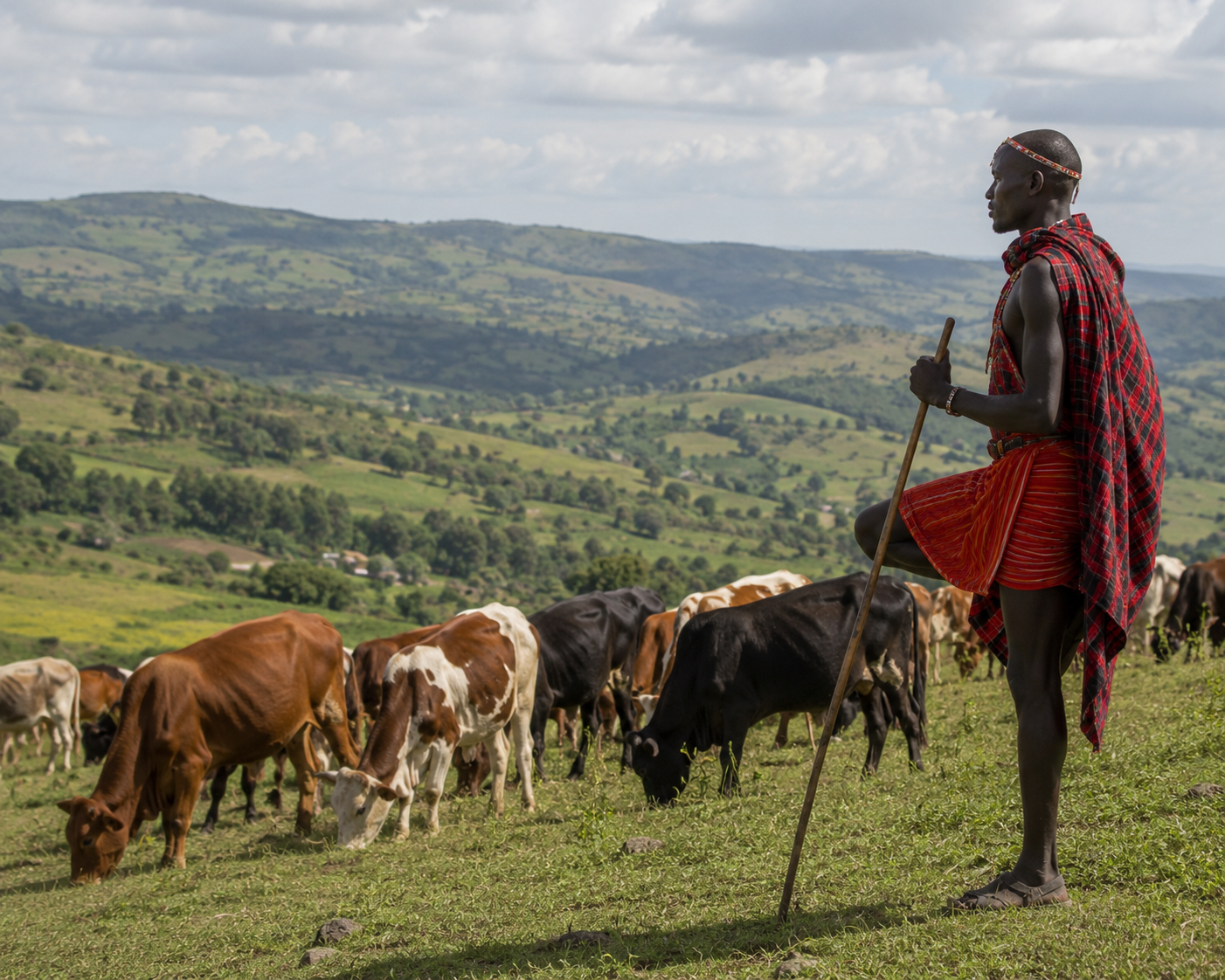 Migration and Settlement of the Kipsigis